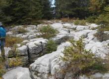 lapiaz_2.jpg Thumbnail